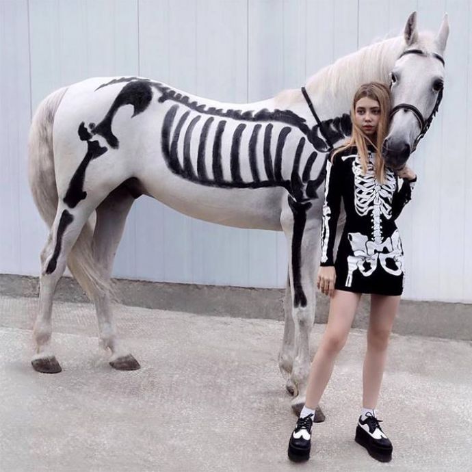 Елена Шейдлина — российская принцесса Instagram