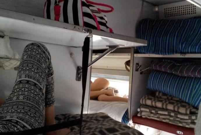 Попутчики, которые разнообразят любую поездку