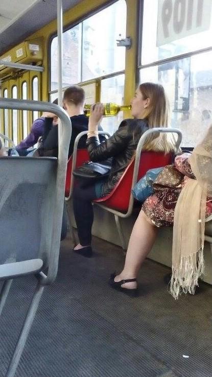 Попутчики, которые разнообразят любую поездку