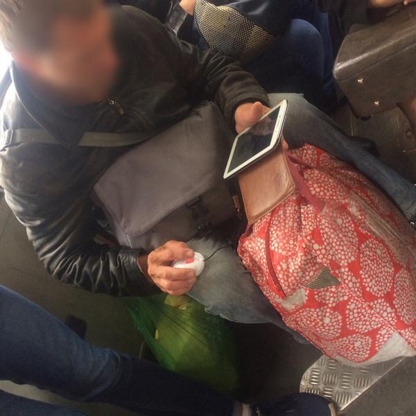 Попутчики, которые разнообразят любую поездку