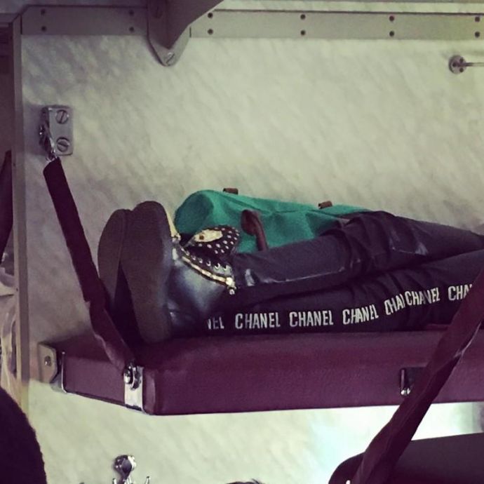 Попутчики, которые разнообразят любую поездку