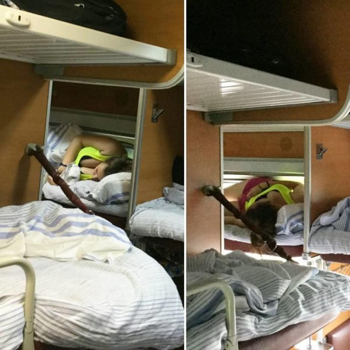 Попутчики, которые разнообразят любую поездку