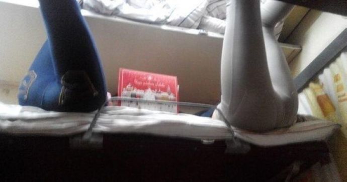 Попутчики, которые разнообразят любую поездку