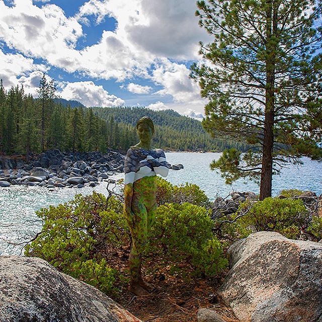 Обнаженные женщины, растворенные в окружении с помощью боди-арта Обнаженные женщины, растворенные в окружении с помощью боди-арта