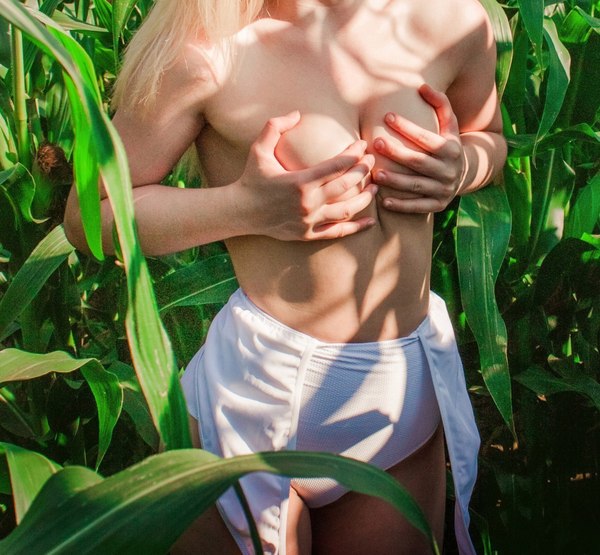 Показала сиськи в кукурузе