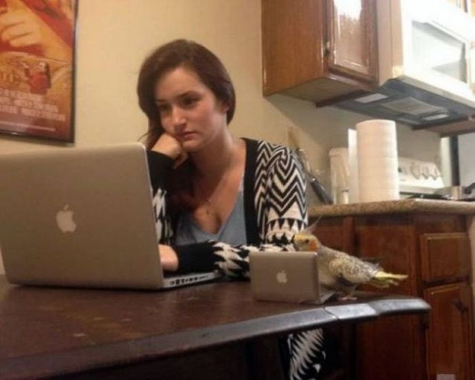 Девушки и гаджеты 2016 года