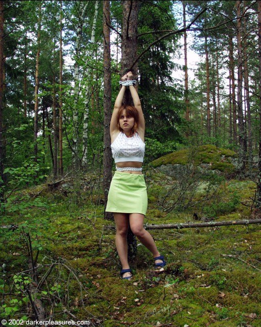 Жестокие пытки связанных сук причиняют боль и оргазм