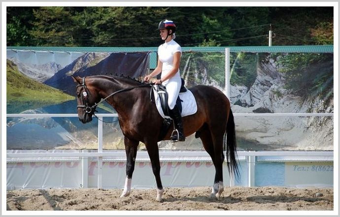 Стройные красотки с лошадьми возбуждают на откровенных фото