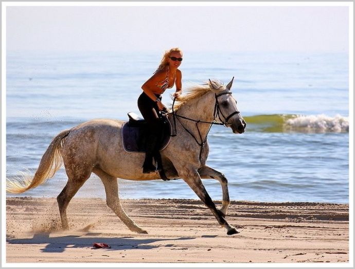 Стройные красотки с лошадьми возбуждают на откровенных фото