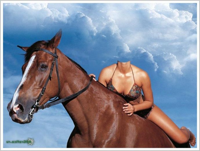 Милая девушка и конь откровенно соблазняет на природе