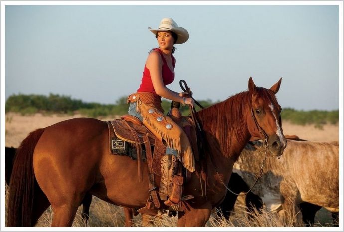 Стройные красотки с лошадьми возбуждают на откровенных фото