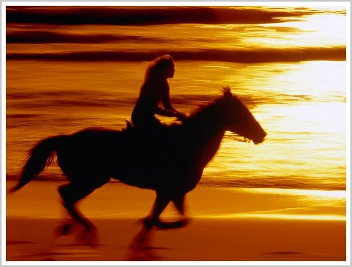 Молодые девушки на природе в платьях и с красивыми лошадьми