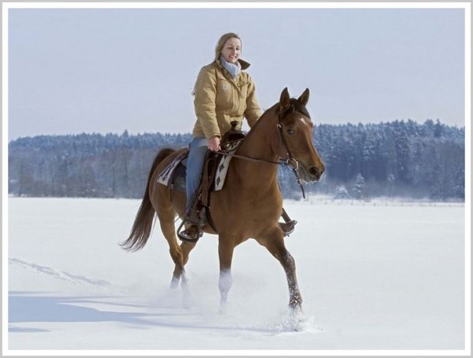 Молодые девушки на природе в платьях и с красивыми лошадьми