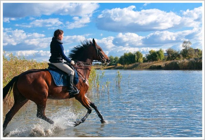 Молодые девушки на природе в платьях и с красивыми лошадьми