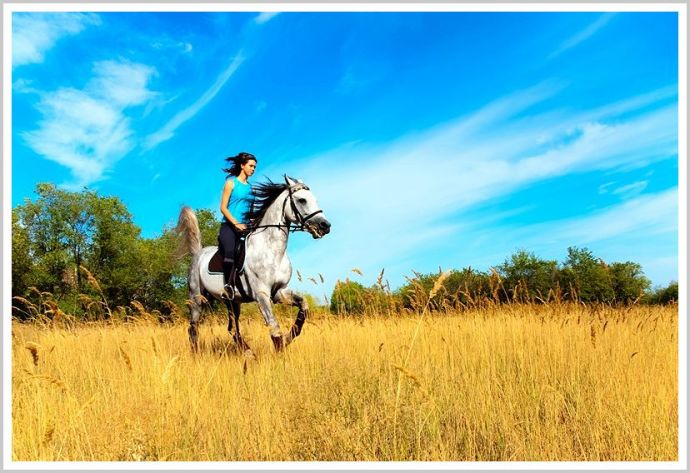 Молодые девушки на природе в платьях и с красивыми лошадьми