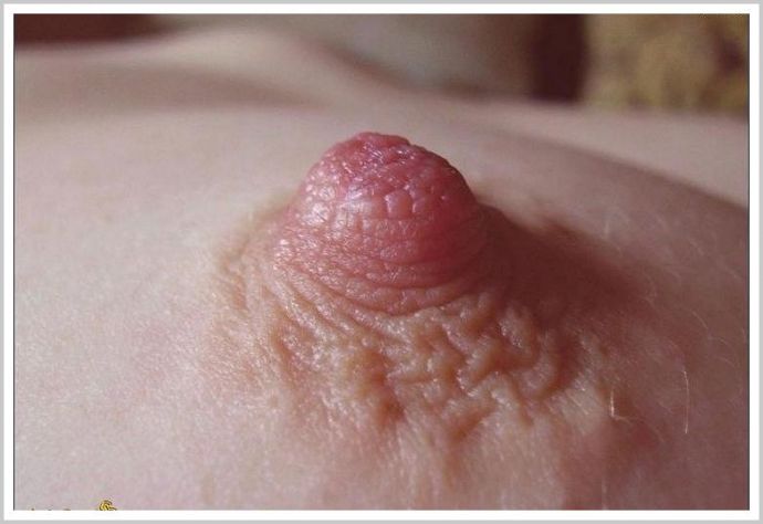 Женская грудь крупно на ню фотография