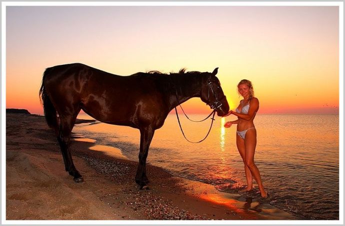 Откровенные снимки с конями и с милыми девушками