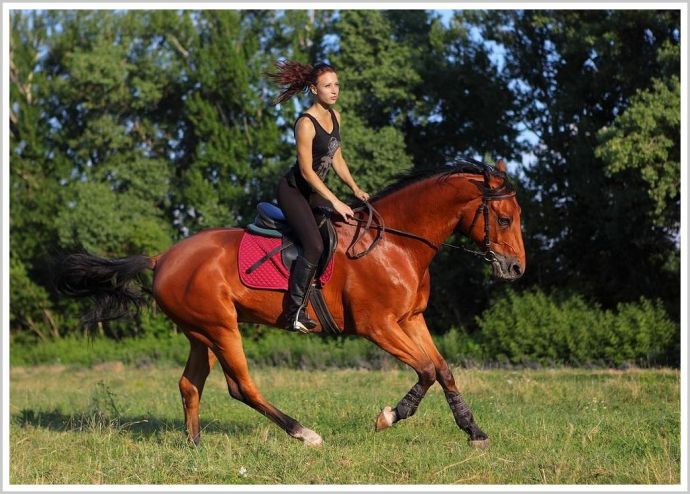 Откровенные снимки с конями и с милыми девушками