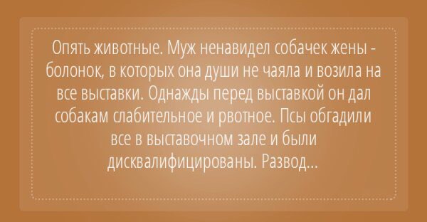 Самые необычные причины для развода