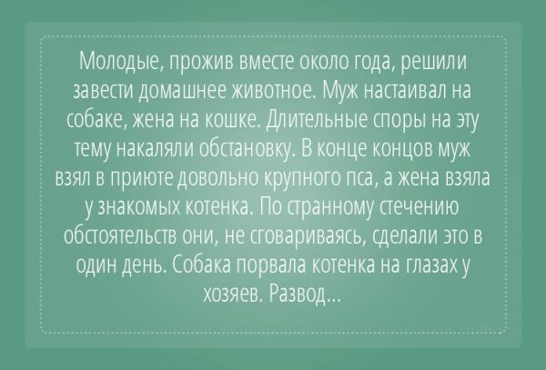 Самые необычные причины для развода
