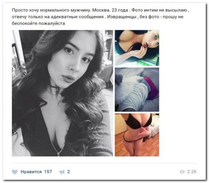 Курвы ищут спонсоров на 19.04.2017