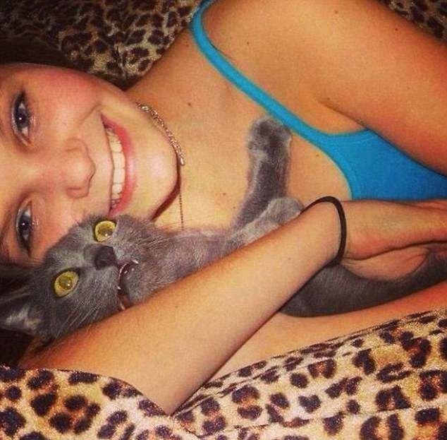 Кошки не в восторге от селфи