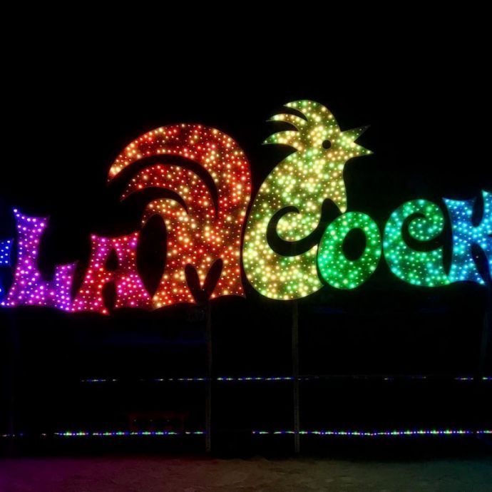 Первые фото с фестиваля Burning Man 2017