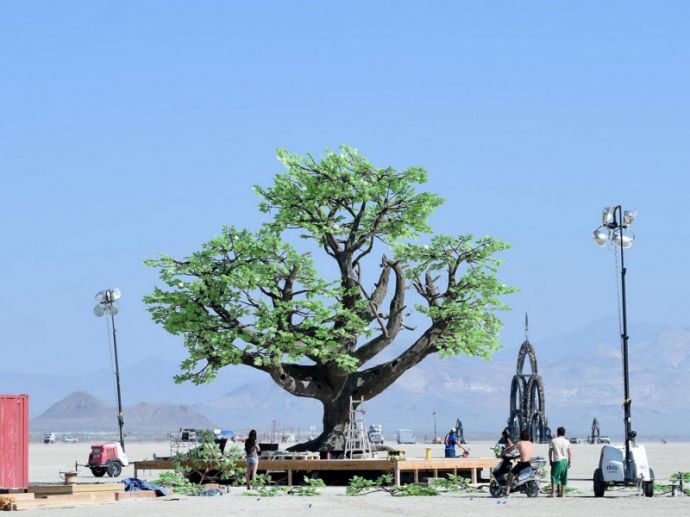 Первые фото с фестиваля Burning Man 2017
