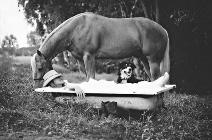 Австралийские студенты-ветеринары разделись для благотворительного календаря