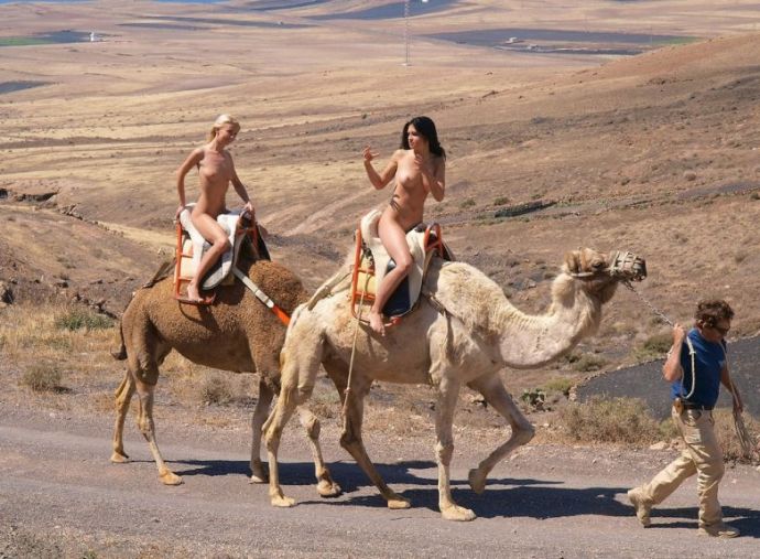 Голые девушки разгуливают где попало!