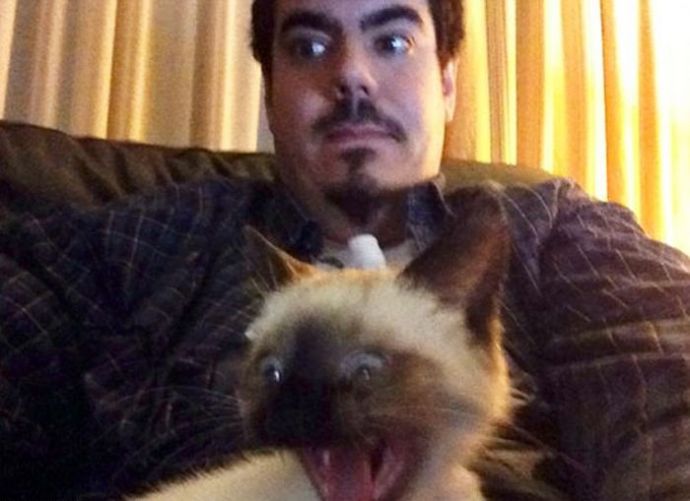 Кошки не в восторге от селфи