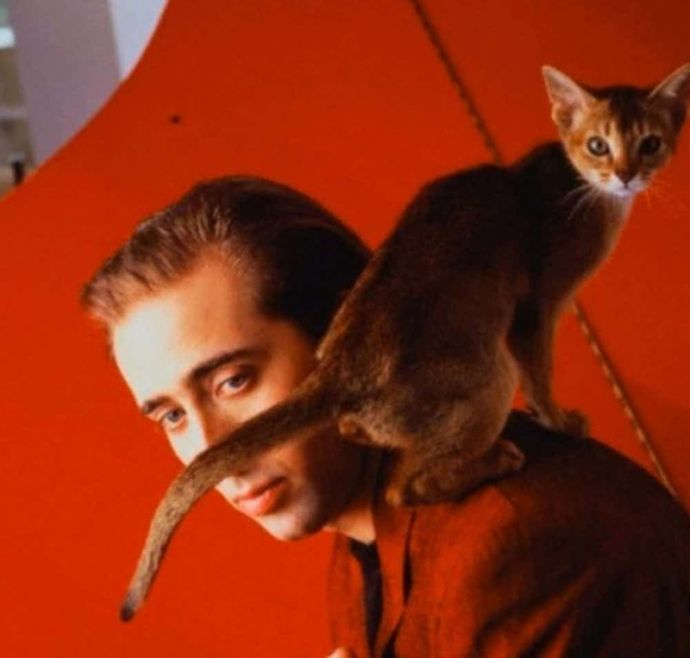 Самые неудачные фотографии знаменитостей