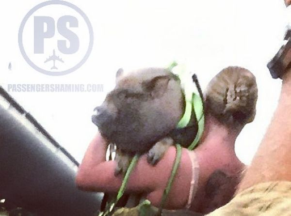 Уволенная стюардесса делится фотками мерзких пассажиров Уволенная стюардесса делится фотками мерзких пассажиров
