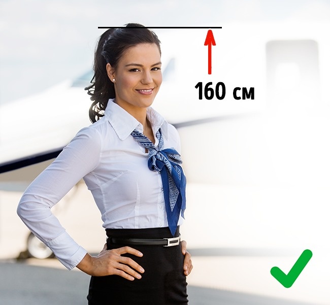 15 доказательств, что в стюардессы берут только избранных 15 доказательств, что в стюардессы берут только избранных