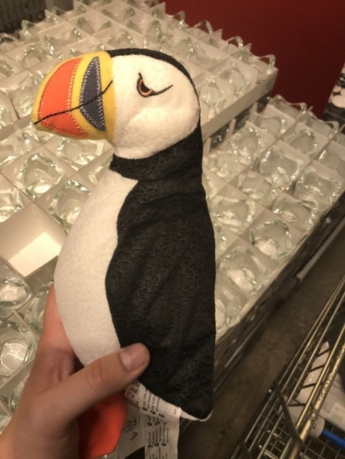 Приколы и маразмы в магазинах: странные и жуткие игрушки