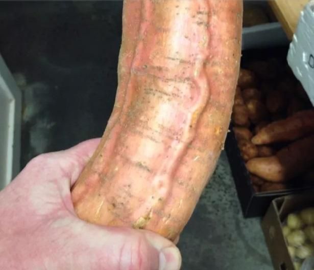 Совершенно приличные фотографии со всякой пошлятиной