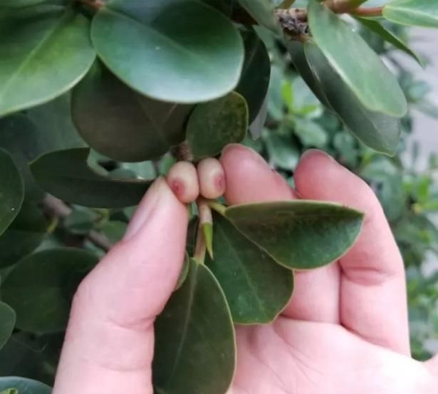 Совершенно приличные фотографии со всякой пошлятиной