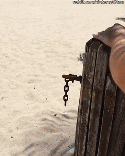 Красивые девушки позируют на камеру Красивые девушки позируют на камеру