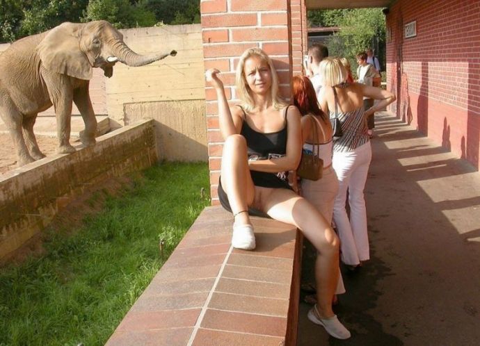 Свободомыслящие девицы, позабывшие о нижнем белье