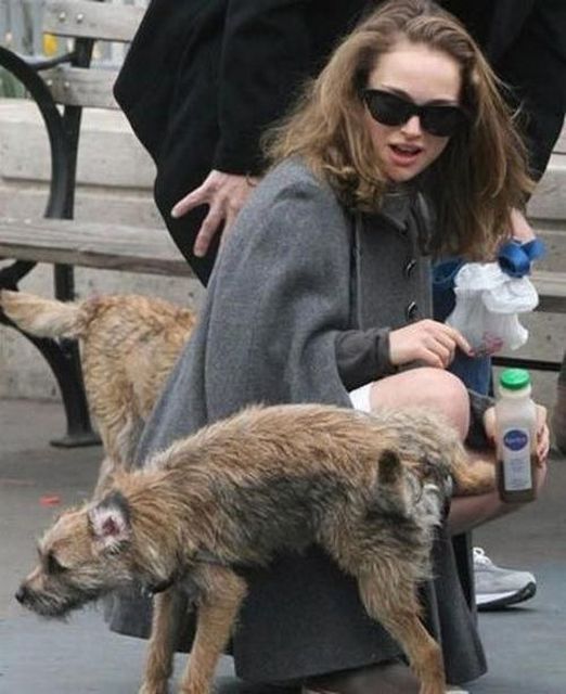 Звезды не получились на фото Звезды не получились на фото