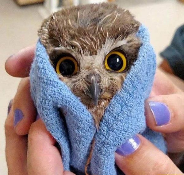 Прикольные фото для взрослых, вечерний выпуск - 09.11.2017