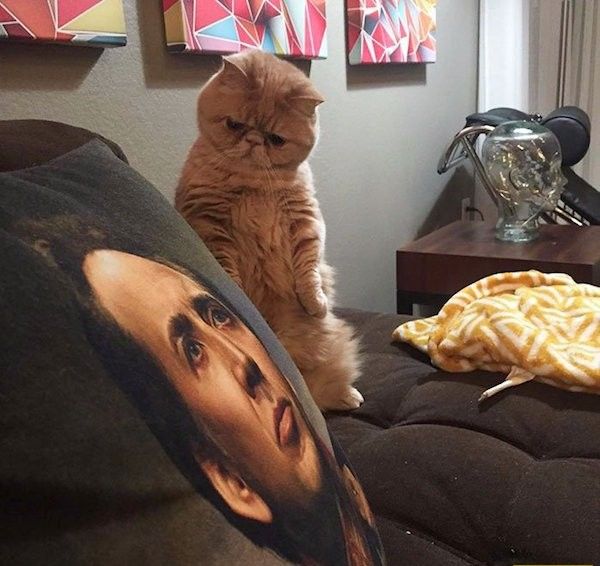 Прикольные фото для взрослых, дневной выпуск - 10.11.2017