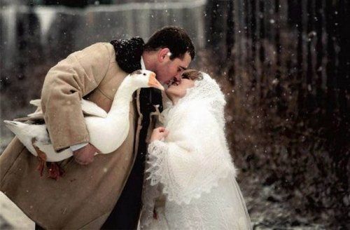 Смешные и прикольные свадебные фотографии