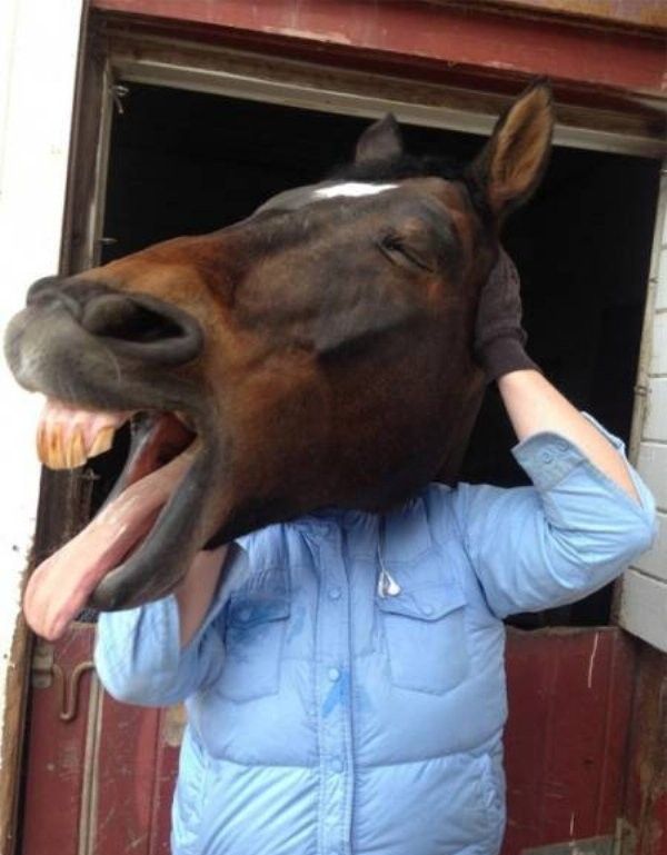 Прикольные фото для взрослых для, воскресный выпуск - 14.01.2018