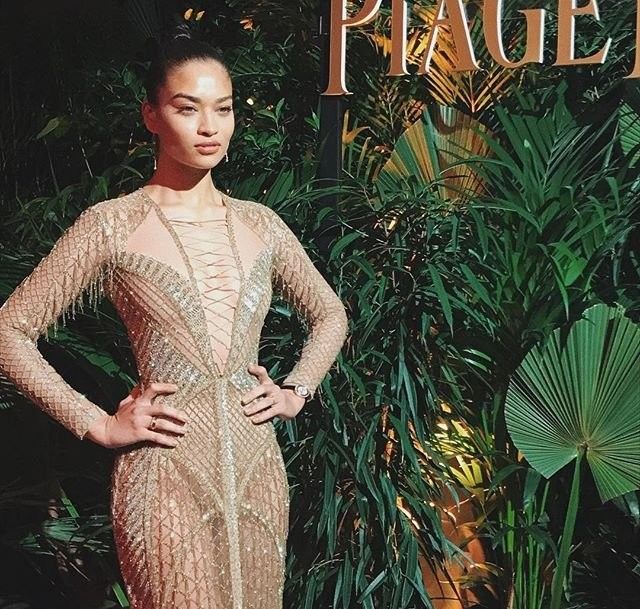 Модель Шанина Шейк сразила наповал ну очень откровенным нарядом