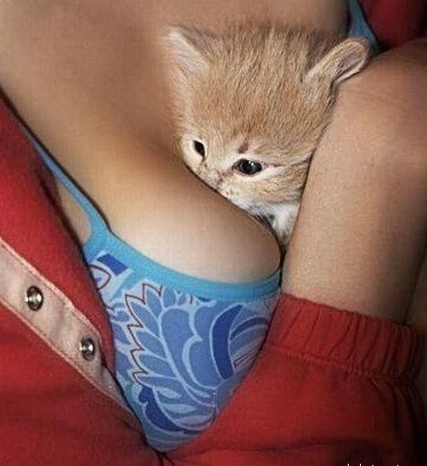 Женскую грудь можно использовать как сумку