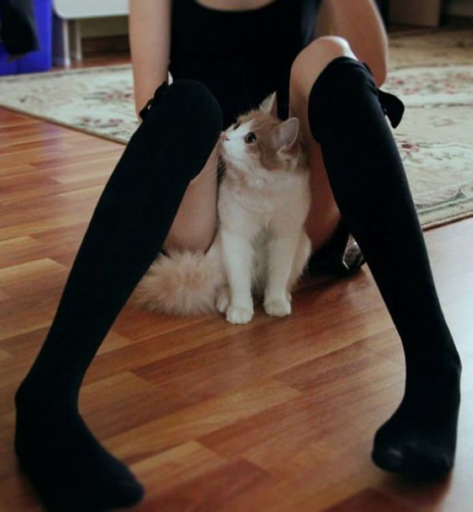 Милые киски девушек (9 пикантных фото)