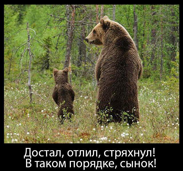 Юмор в картинках: ✅‍♂️ смешные и пошлые