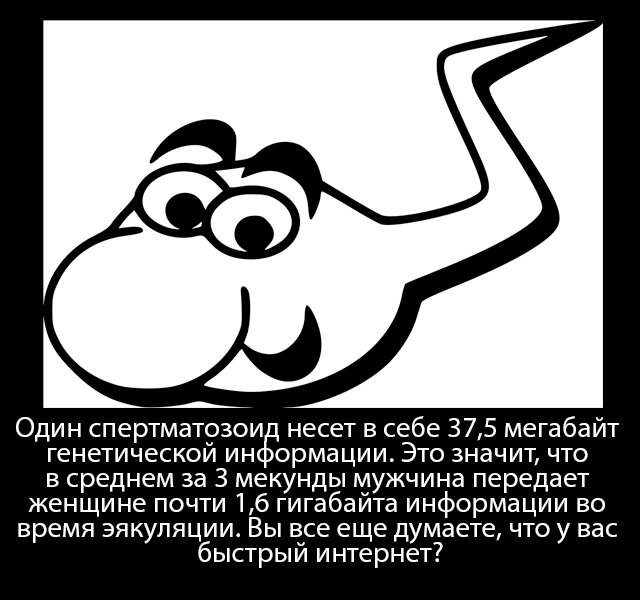 Юмор в картинках: смешные, слегка пошловатые и даже правдивые демотиваторы ✅