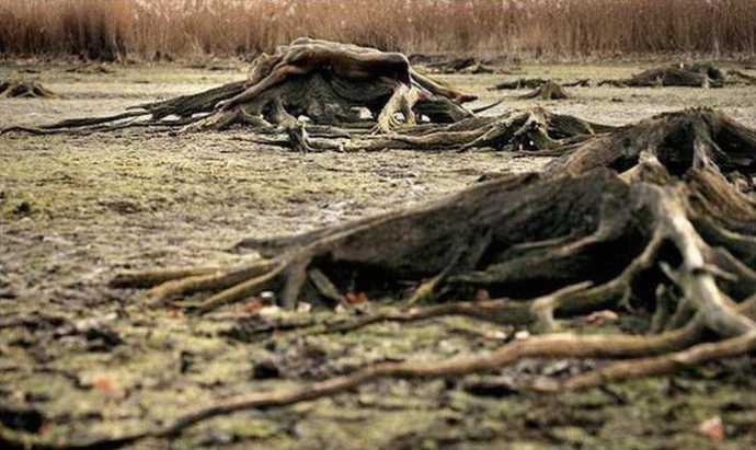 Обнаженные женщины на фоне природы